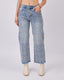 Embroidered Denim Light Blue Pants