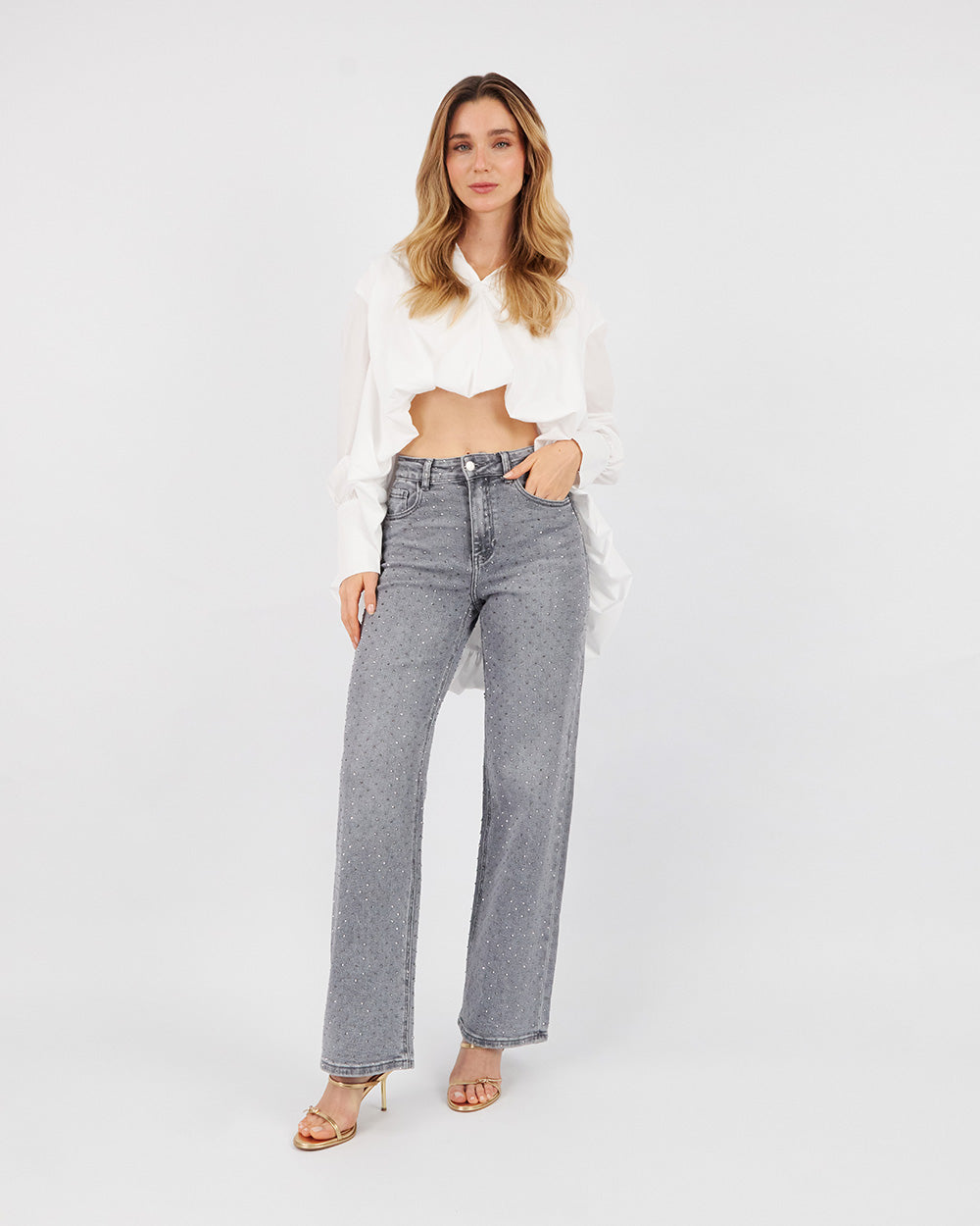 Full Sparkle Gray Denim Pants