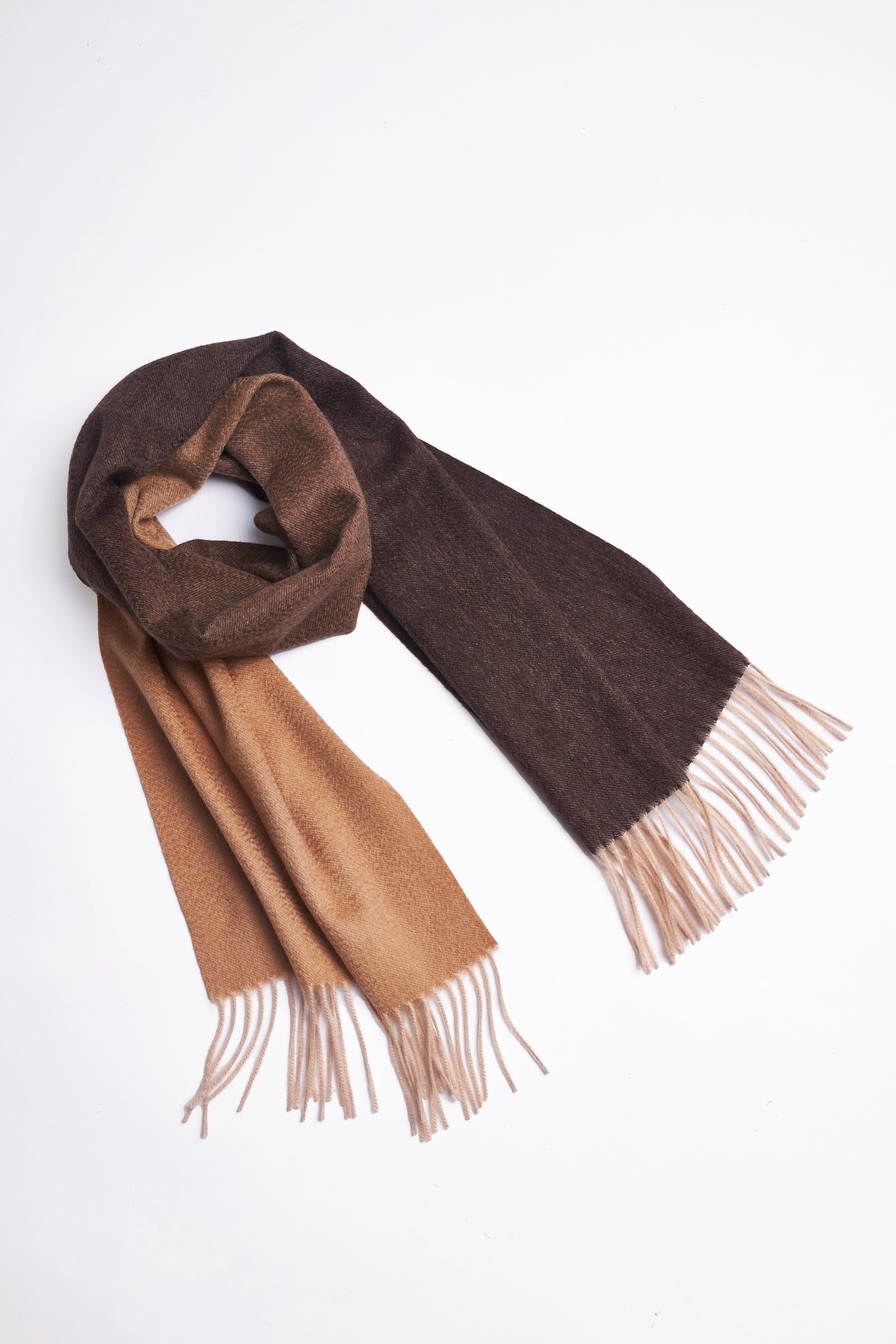 INTELLECTUAL GRADIENT FRINGED ORGANIC CASHMERE SCARF