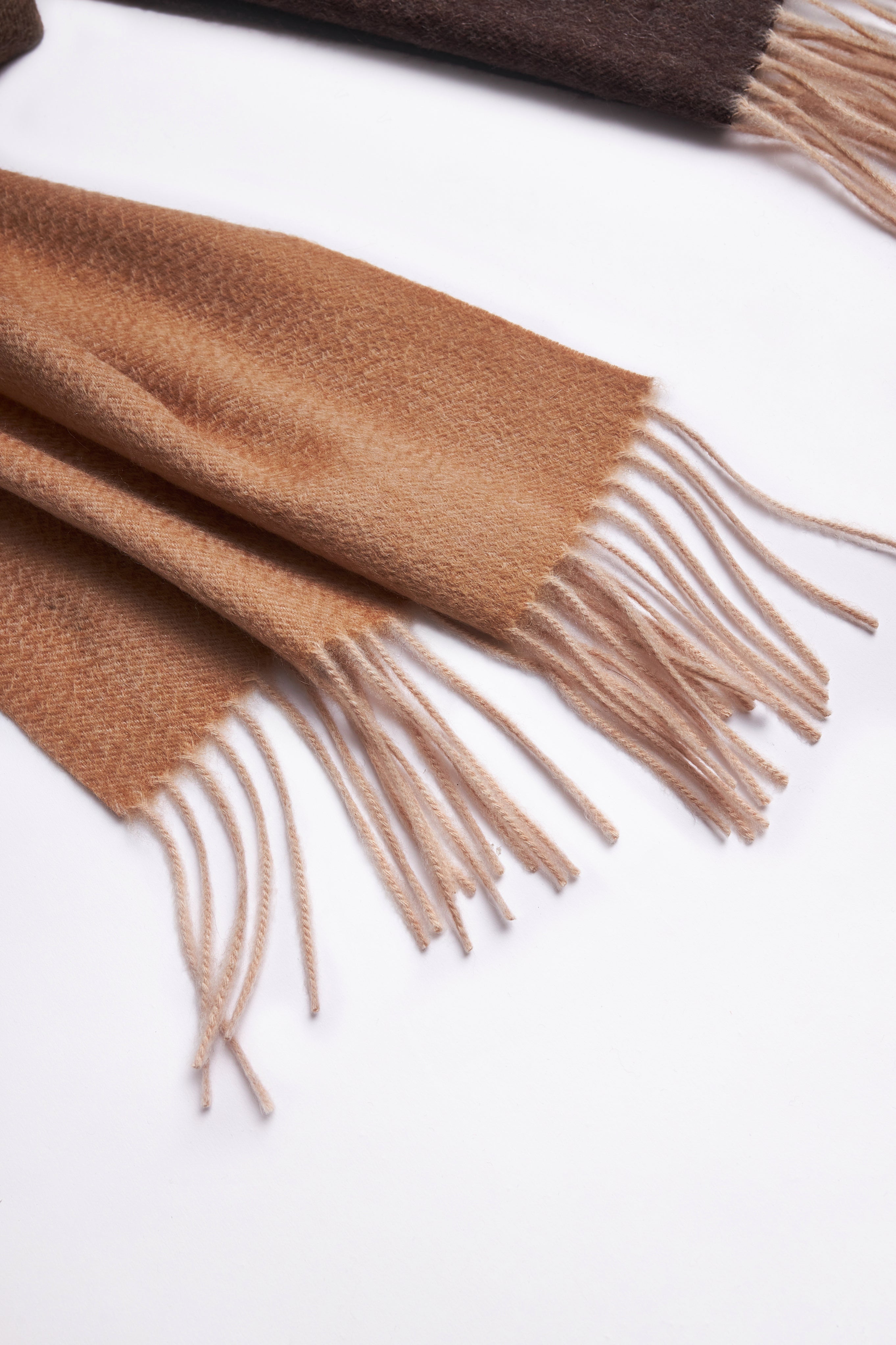 INTELLECTUAL GRADIENT FRINGED ORGANIC CASHMERE SCARF