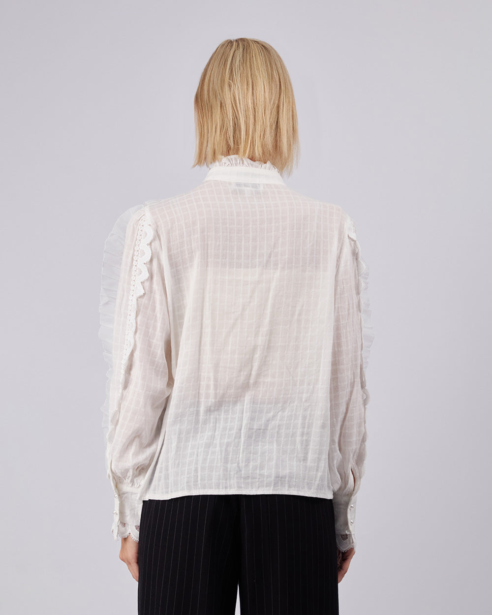 White Blouse Monarch