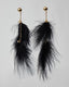Black Feather Earrings