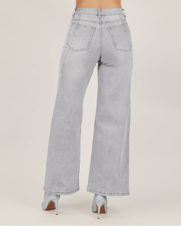Gray Denim Pants With Diagonal